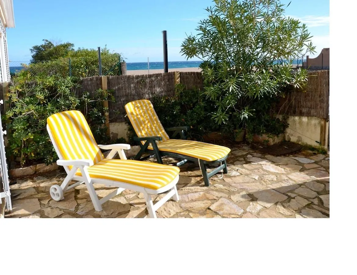 Paradis 31 بالس